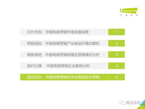 2020中國電商市場營銷研究報告 市場經營策劃與增長策略